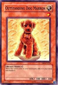 Outstanding Dog Marron - Dark Revelation Volume 1 - YuGiOh card