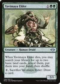 Yavimaya Elder - Modern Horizons 2 - Magic: The Gathering card