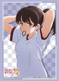 Bushiroad Sleeve Collection HG Vol.2900: Saekano: How to Raise a Boring Girlfriend Fine - Megumi Kato (75-Pack) - Bushiroad Card Sleeves - Card Sleeves card