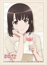 Bushiroad Sleeve Collection HG Vol.2899: Saekano: How to Raise a Boring Girlfriend Fine - Megumi Kato (75-Pack) - Bushiroad Card Sleeves - Card Sleeves card