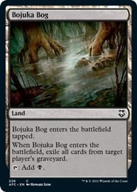 Bojuka Bog - Commander: Adventures in the Forgotten Realms - Magic: The Gathering card