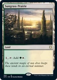 Sungrass Prairie - Commander: Adventures in the Forgotten Realms - Magic: The Gathering card