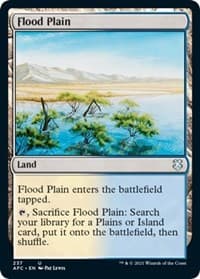 Flood Plain - Commander: Adventures in the Forgotten Realms - Magic: The Gathering card
