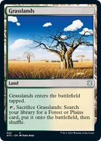Grasslands - Commander: Adventures in the Forgotten Realms - Magic: The Gathering card