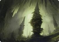Forest (55/81) Art Card - Art Series: Adventures in the Forgotten Realms - Magic: The Gathering card