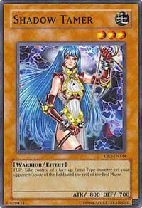 Shadow Tamer - Dark Beginning 2 - YuGiOh card