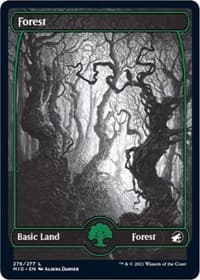 Forest (276) - Innistrad: Midnight Hunt - Magic: The Gathering card