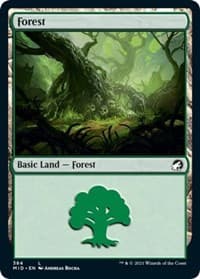 Forest (384) - Innistrad: Midnight Hunt - Magic: The Gathering card