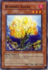 Burning Algae - Dark Revelation Volume 2 - YuGiOh card