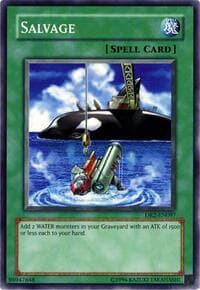 Salvage - Dark Revelation Volume 2 - YuGiOh card