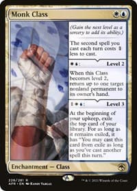 Monk Class - AFR Ampersand Promos - Magic: The Gathering card