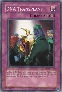 DNA Transplant - Dark Revelation Volume 2 - YuGiOh card