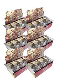 Aces of the Cosmos, Assemble! Booster Box Case - Aces of the Cosmos, Assemble! - Gate Ruler card