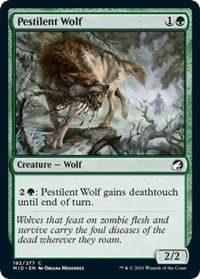 Pestilent Wolf - Innistrad: Midnight Hunt - Magic: The Gathering card