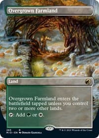 Overgrown Farmland (Borderless) - Innistrad: Midnight Hunt - Magic: The Gathering card