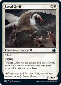 Loyal Gryff - Innistrad: Midnight Hunt - Magic: The Gathering card