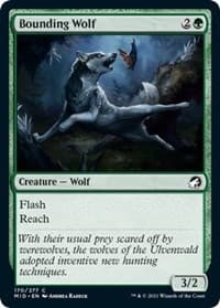 Bounding Wolf - Innistrad: Midnight Hunt - Magic: The Gathering card