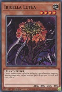Ibicella Lutea - 2021 Tin of Ancient Battles - YuGiOh card