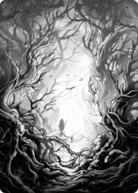 Forest Art Card (81/81) - Art Series: Innistrad: Midnight Hunt - Magic: The Gathering card