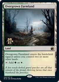 Overgrown Farmland - Prerelease Cards - Magic: The Gathering card