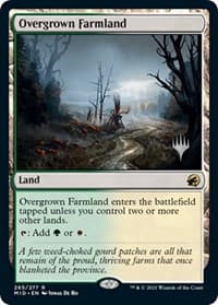Overgrown Farmland - Promo Pack: Innistrad: Midnight Hunt - Magic: The Gathering card