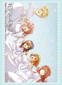 Bushiroad Sleeve Collection HG Vol.2964: The Quintessential Quintuplets (75-Sleeves) - Bushiroad Card Sleeves - Card Sleeves card