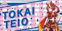 Bushiroad Rubber Mat Collection V2 Vol.108: Umamusume Pretty Derby - Tokai Teio - Bushiroad Playmats - Playmats card