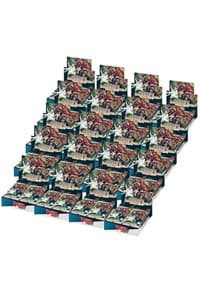 Advance of Intertwined Stars Booster Box Case - D-BT03: Advance of Intertwined Stars - Cardfight Vanguard card