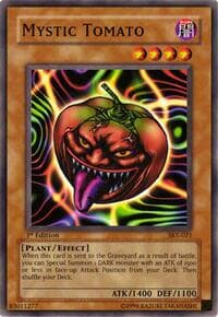 Mystic Tomato - Starter Deck: Kaiba Evolution - YuGiOh card