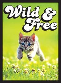 Double Matte Sleeve - Kitten (50-Pack) - Legion Premium Supplies Card Sleeves - Card Sleeves card