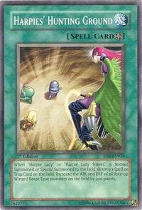 Harpies' Hunting Ground - Structure Deck: Lord of the Storm - YuGiOh card
