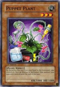 Puppet Plant - Strike of Neos - YuGiOh card