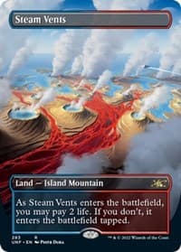 Steam Vents (Borderless) - Unfinity - Magic: The Gathering card