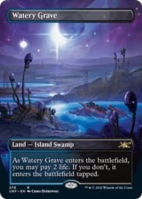 Watery Grave (Borderless) - Unfinity - Magic: The Gathering card