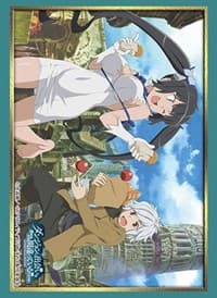 Bushiroad Sleeve Collection HG Vol.3045: Is It Wrong to Try to Pick Up Girls in a Dungeon? (75-Pack) - Bushiroad Card Sleeves - Card Sleeves card