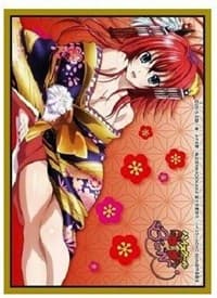 Chara Sleeve Collection Matte Series: High School D x D BorN - Rias Gremory (65-Pack) - Movic Imported Card Sleeves - Card Sleeves card
