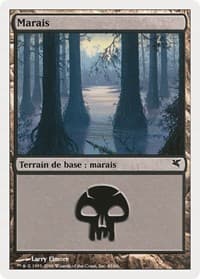 Swamp (French) - "Marais" (A45) - Magic Encyclopedia 2005 (Salvat/Hachette) - Magic: The Gathering card