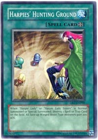 Harpies' Hunting Ground - Dark Revelation Volume 3 - YuGiOh card