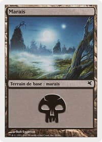 Swamp (French) - "Marais" (E24) - Magic Encyclopedia 2005 (Salvat/Hachette) - Magic: The Gathering card