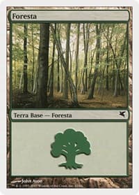 Forest (Italian) - "Foresta" (B10) - Magic Encyclopedia 2005 (Salvat/Hachette) - Magic: The Gathering card