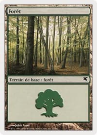 Forest (French) - "Foret" (B10) - Magic Encyclopedia 2005 (Salvat/Hachette) - Magic: The Gathering card