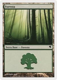 Forest (Italian) - "Foresta" (B20) - Magic Encyclopedia 2005 (Salvat/Hachette) - Magic: The Gathering card