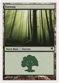 Forest (Italian) - "Foresta" (K21) - Magic Encyclopedia 2005 (Salvat/Hachette) - Magic: The Gathering card