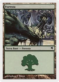 Forest (Italian) - "Foresta" (K22) - Magic Encyclopedia 2005 (Salvat/Hachette) - Magic: The Gathering card