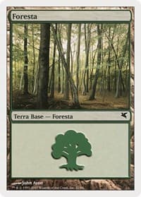 Forest (Italian) - "Foresta" (B21) - Magic Encyclopedia 2005 (Salvat/Hachette) - Magic: The Gathering card
