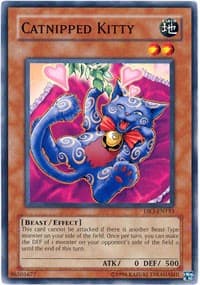 Catnipped Kitty - Dark Revelation Volume 3 - YuGiOh card