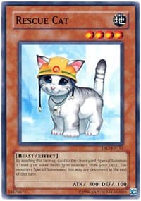 Rescue Cat - Dark Revelation Volume 3 - YuGiOh card