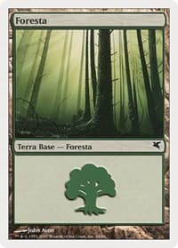 Forest (Italian) - "Foresta" (B24) - Magic Encyclopedia 2005 (Salvat/Hachette) - Magic: The Gathering card