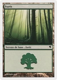 Forest (French) - "Foret" (B24) - Magic Encyclopedia 2005 (Salvat/Hachette) - Magic: The Gathering card