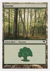 Forest (Italian) - "Foresta" (B33) - Magic Encyclopedia 2005 (Salvat/Hachette) - Magic: The Gathering card